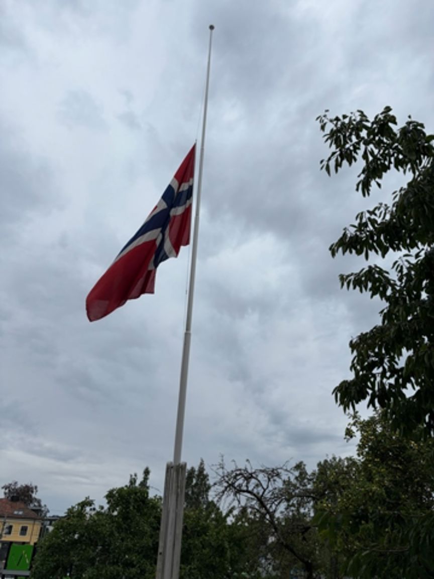 Et flagg på en flaggstang