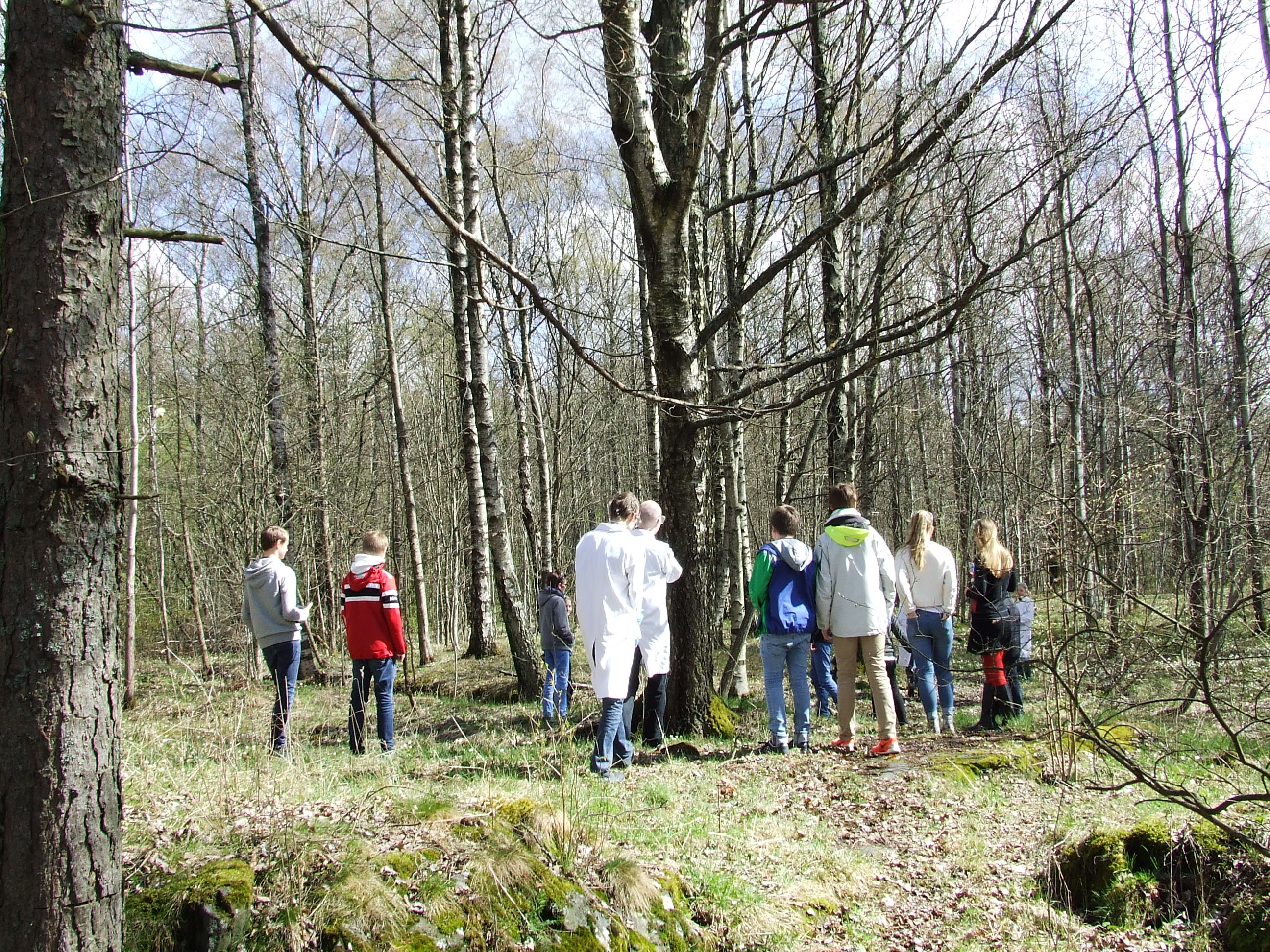 Forskning i praksis - Lager vulkan